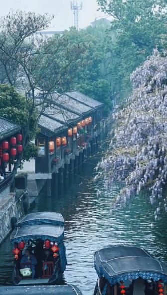 截图未命名.jpg