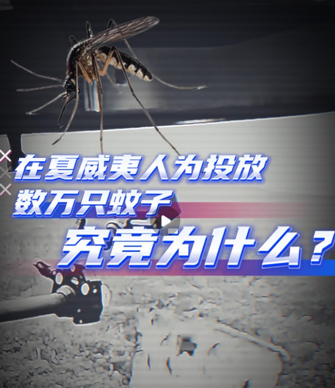 截图未命名.jpg