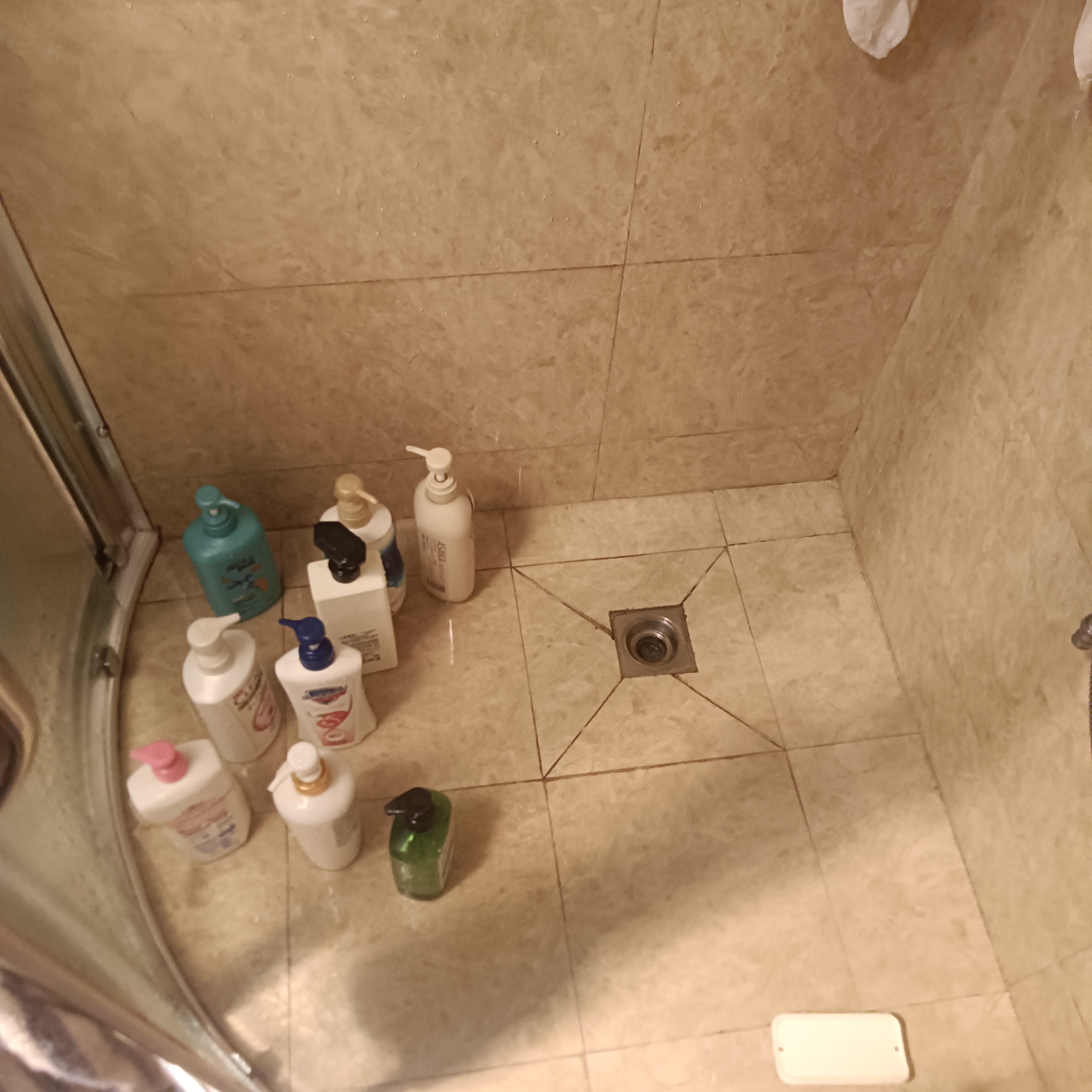 IMG20250803140822.jpg