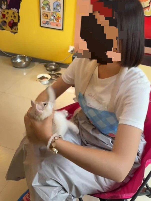 截图未命名.jpg