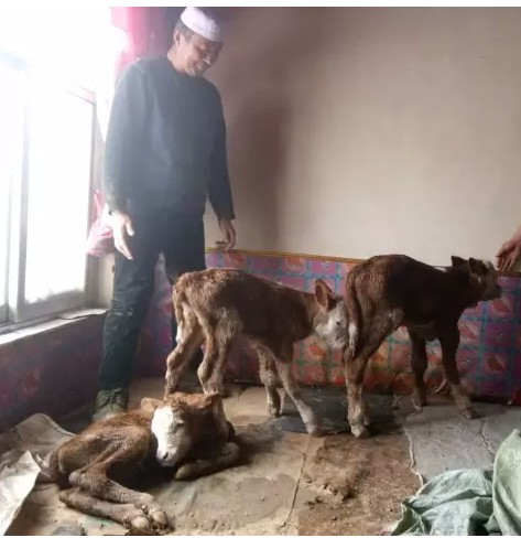 截图未命名.jpg