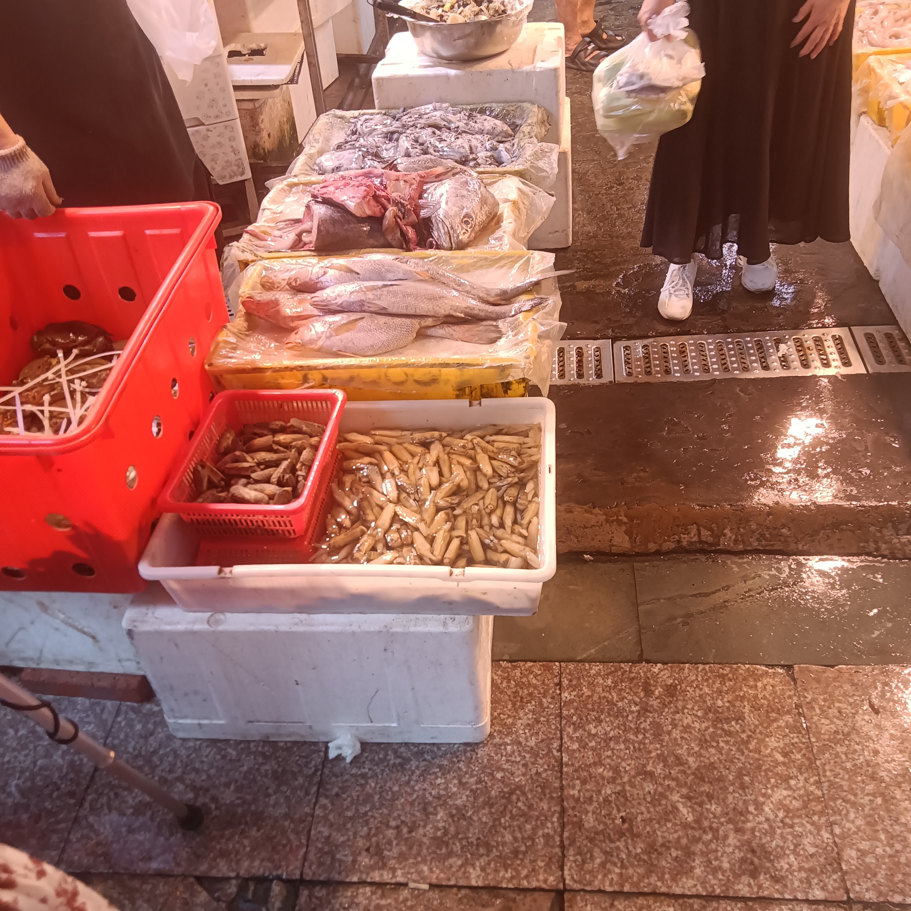 IMG20250921082810.jpg