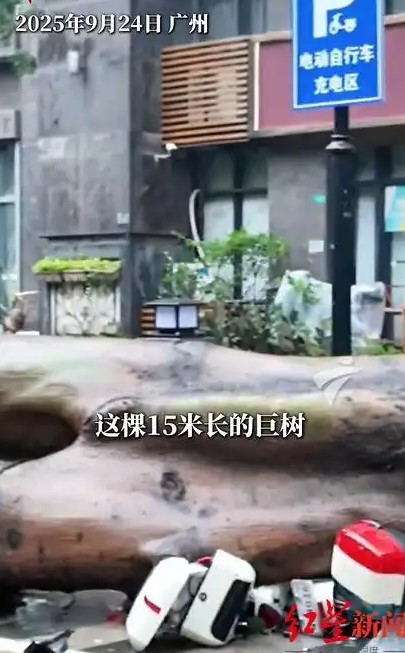 截图未命名.jpg