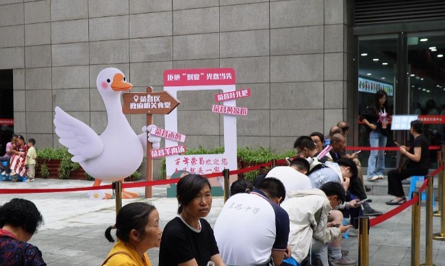 截图未命名.jpg