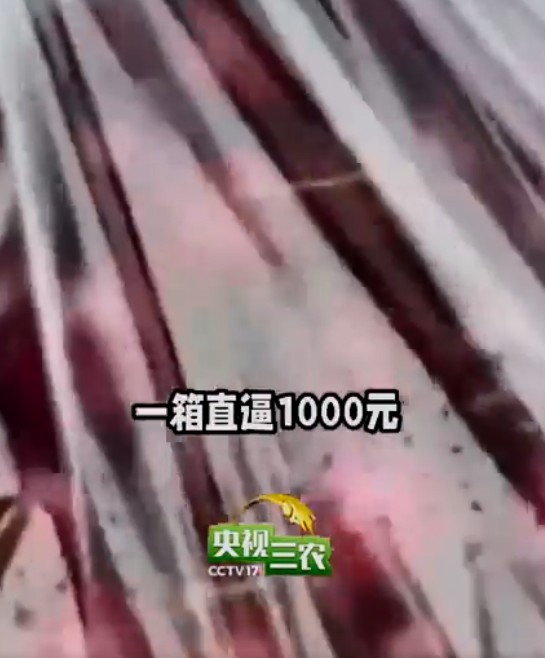 截图未命名.jpg