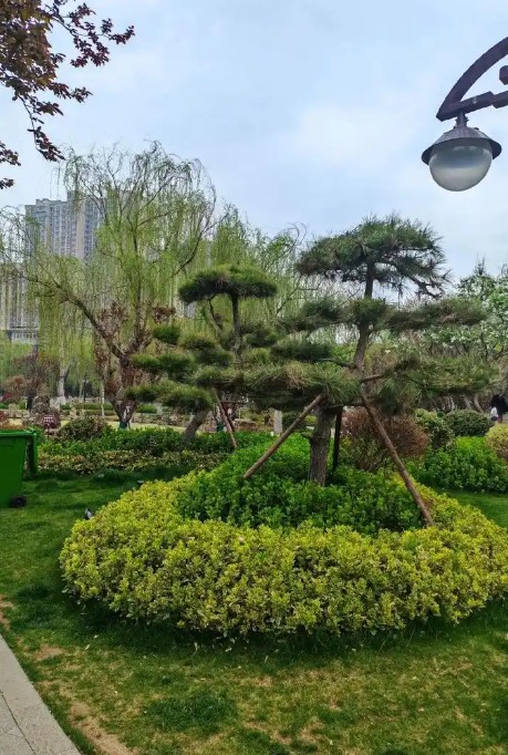 截图未命名.jpg
