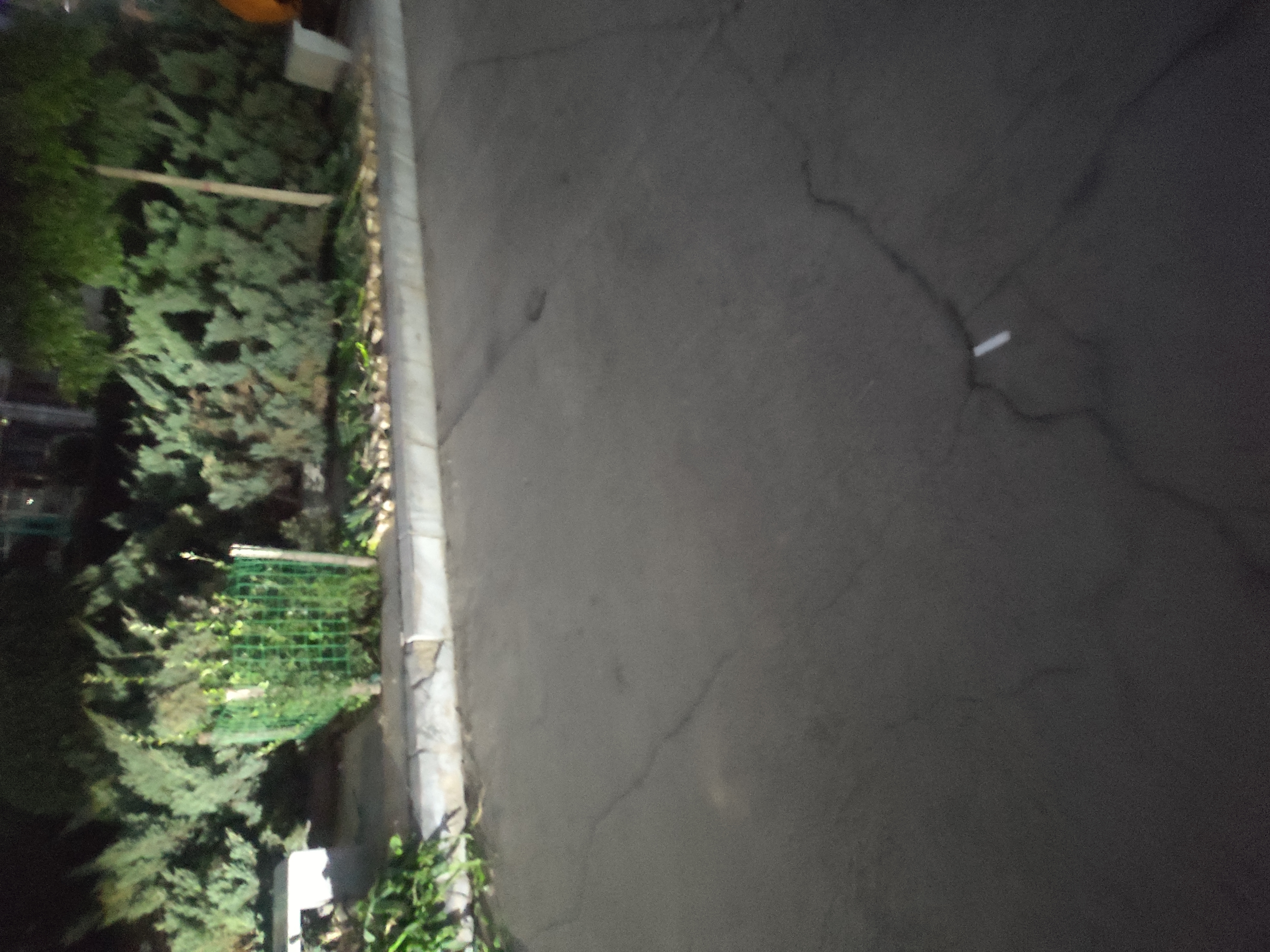 IMG_20251102_175655.jpg