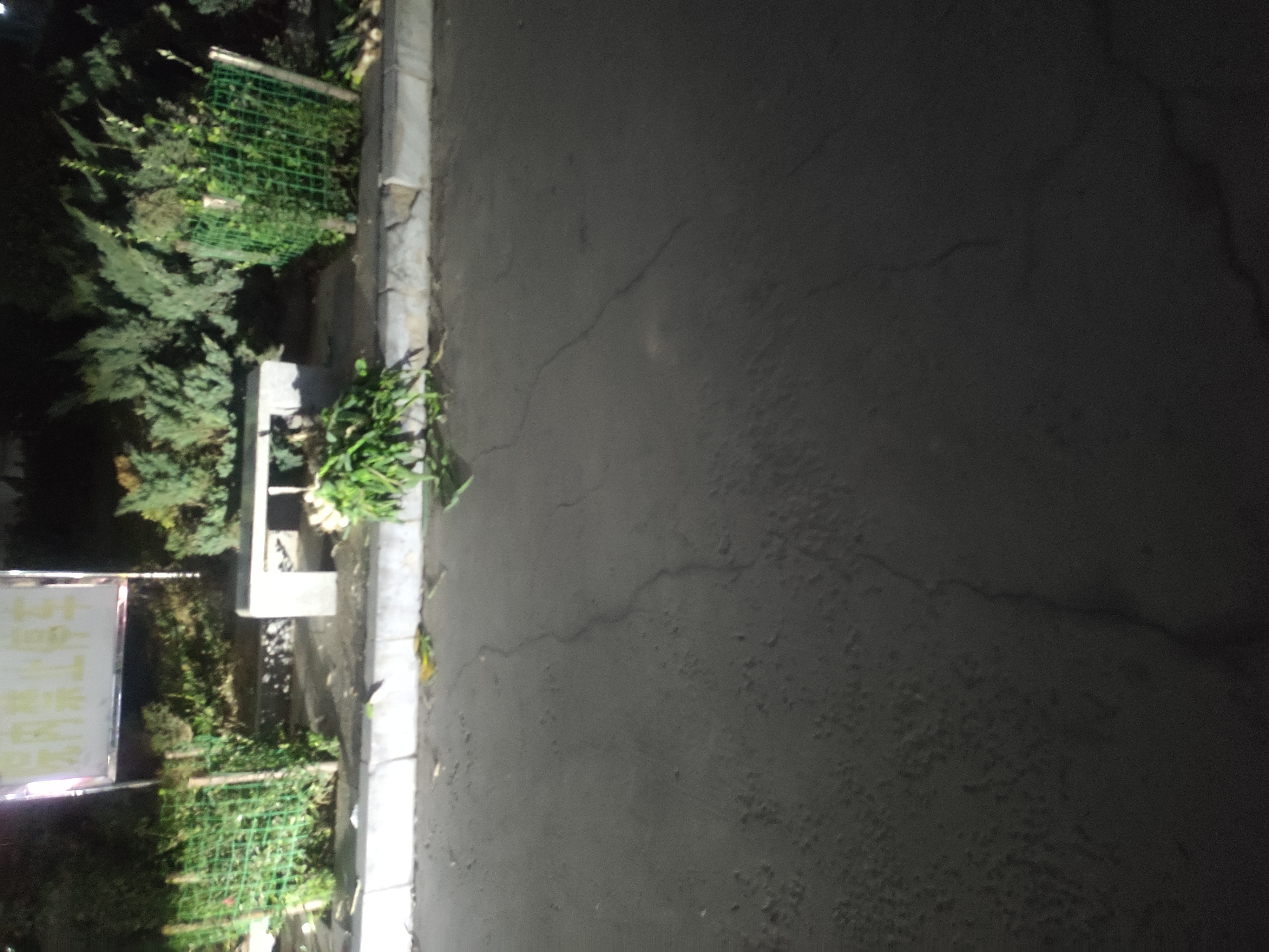 IMG_20251102_175646.jpg