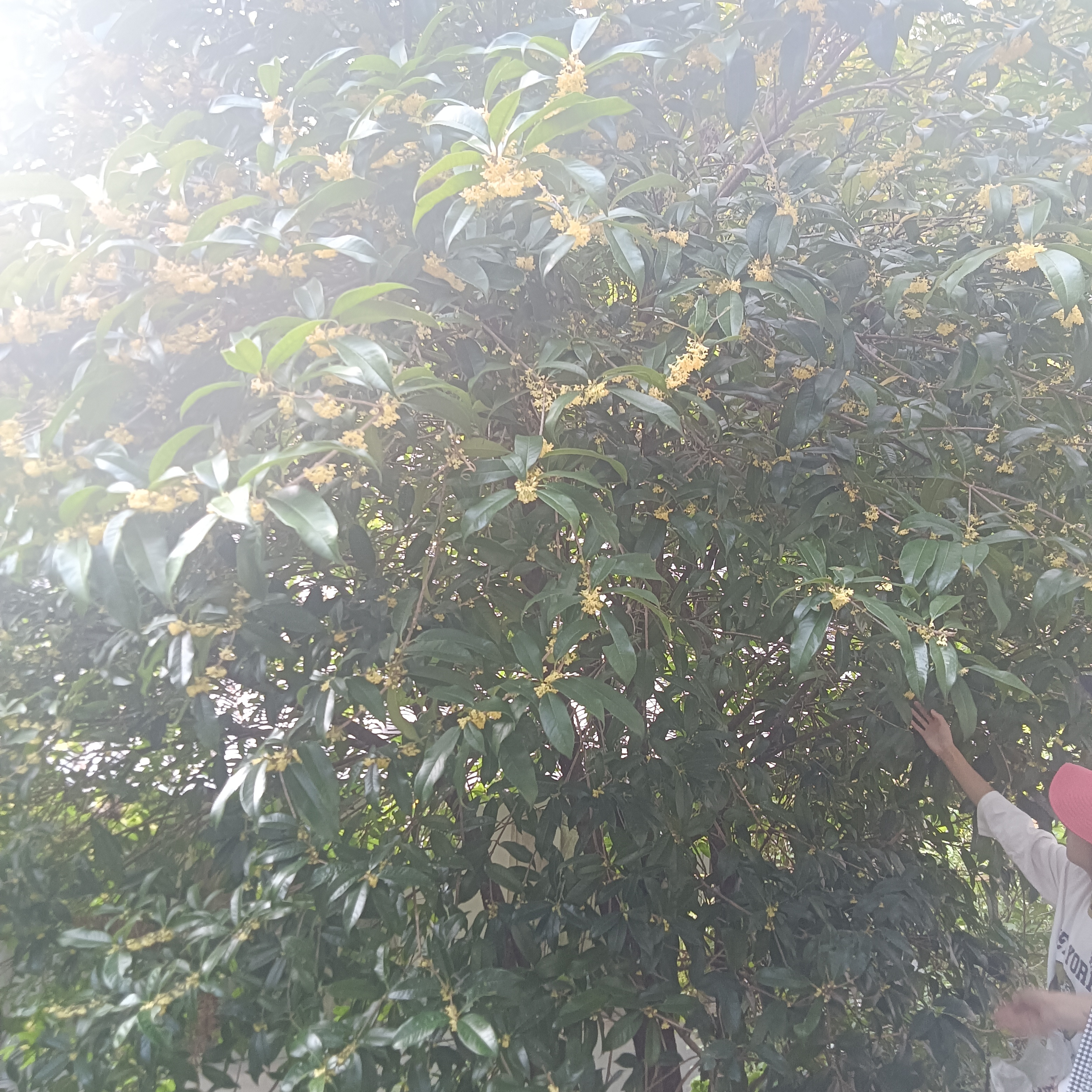IMG20251102124539.jpg