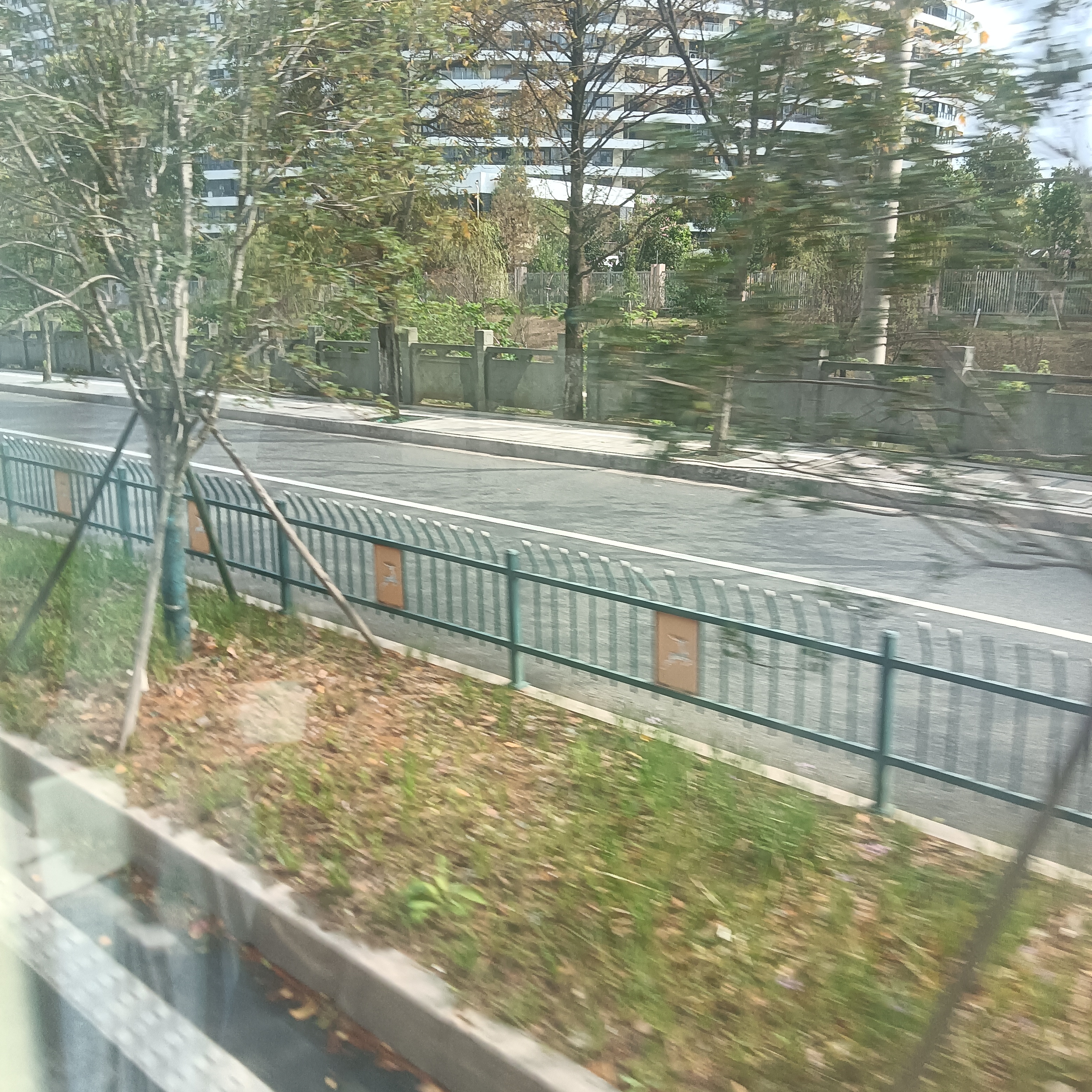 IMG20251106093119.jpg