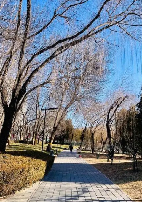截图未命名.jpg