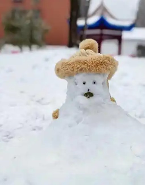 截图未命名.jpg