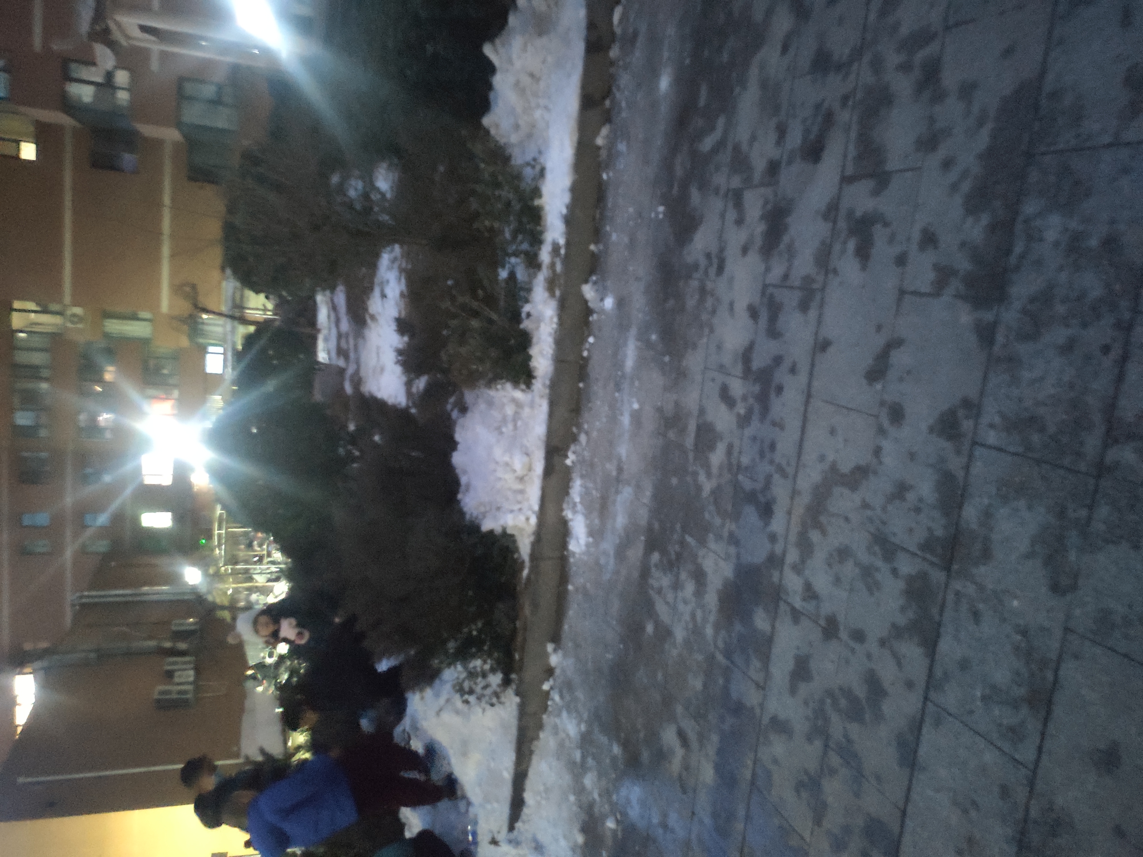 IMG_20251214_173738.jpg