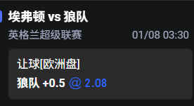 狼队.png