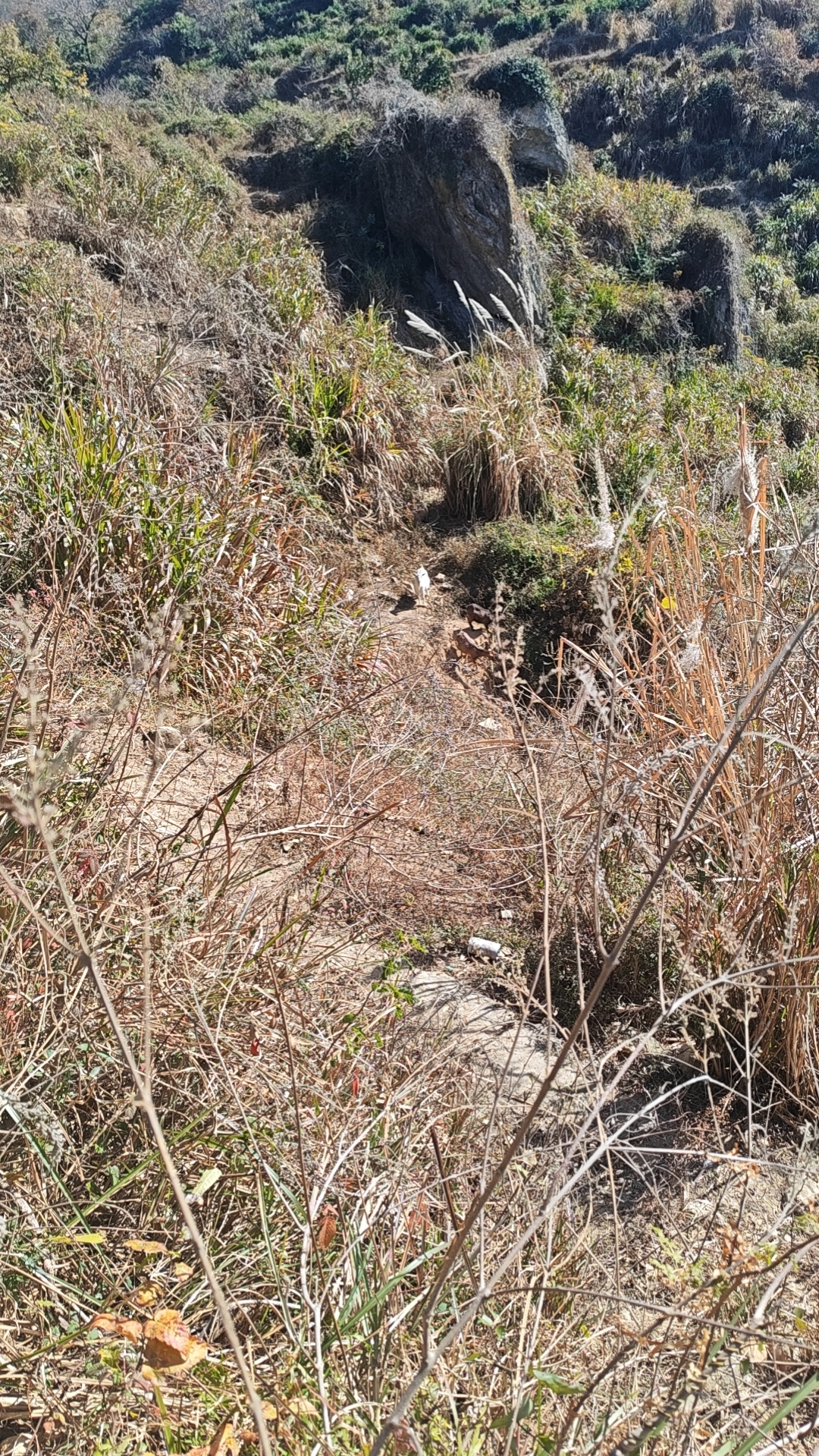 wx_camera_1768100629946.jpg