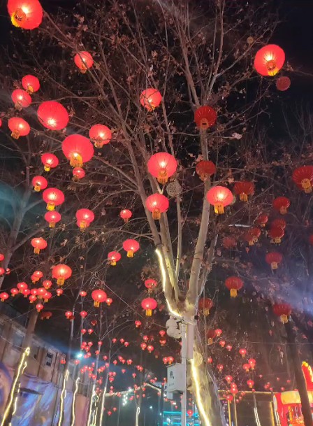 截图未命名.jpg