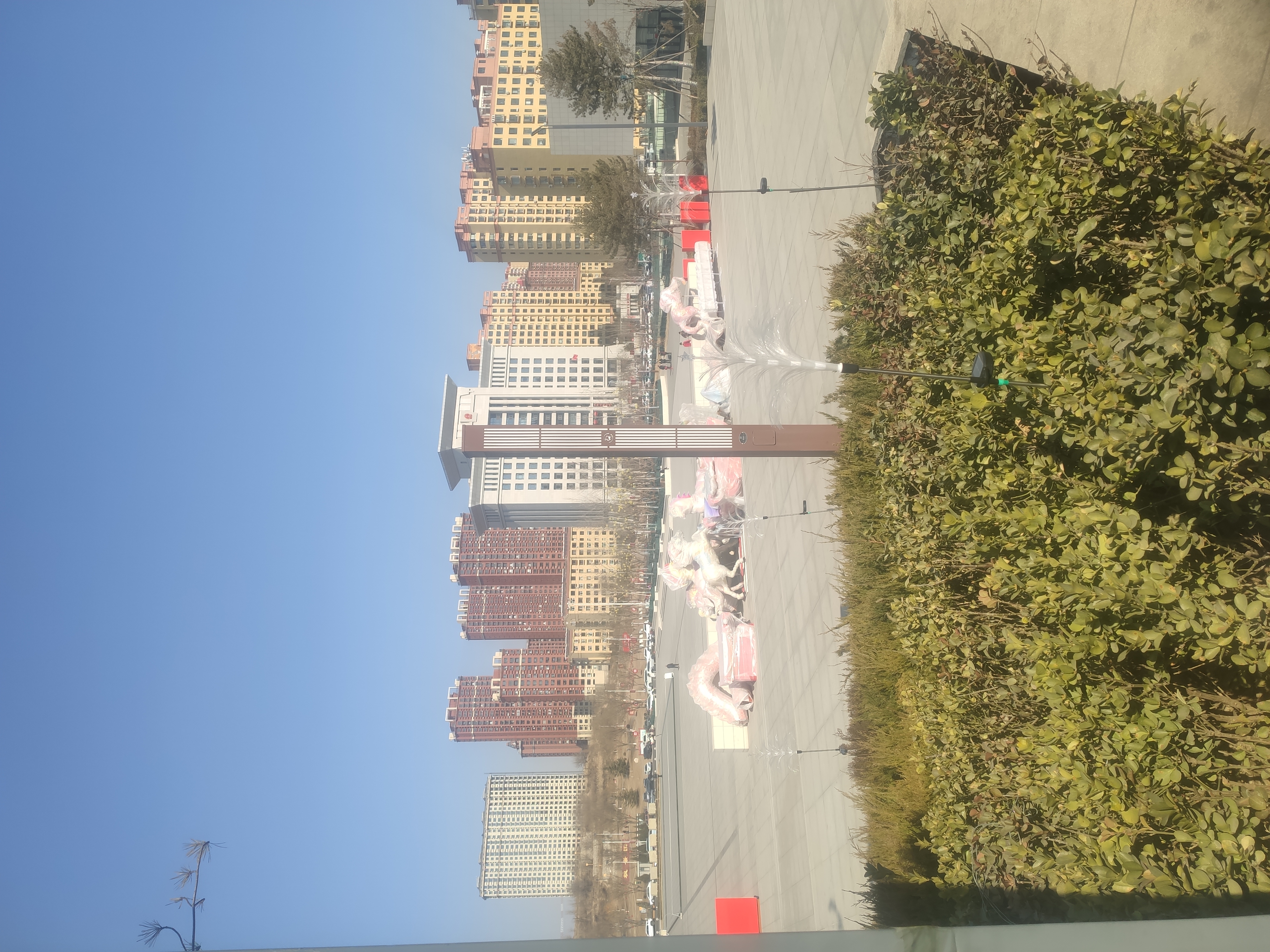 IMG_20260217_140122.jpg