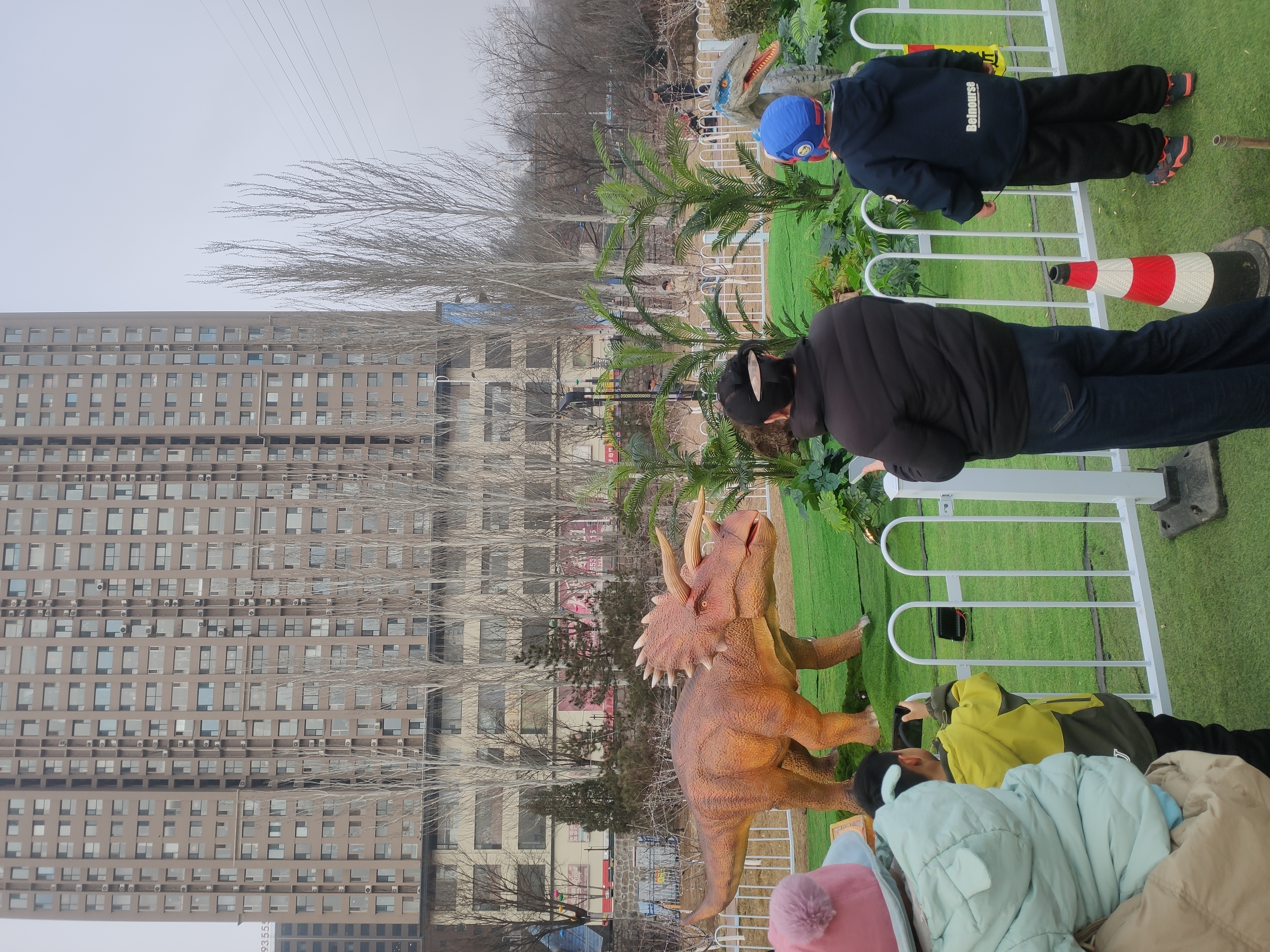 IMG_20260303_173555.jpg