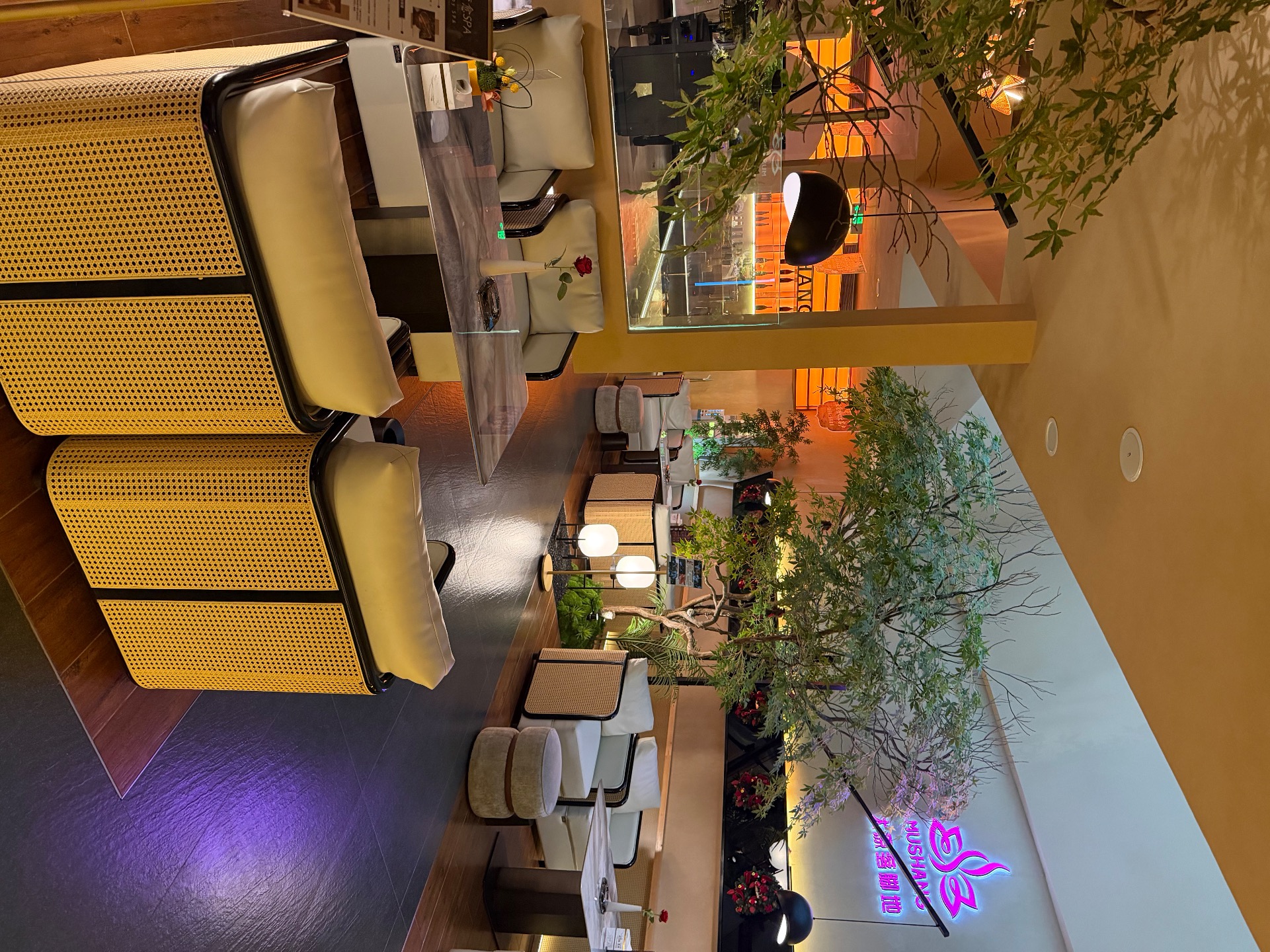 IMG_0177.jpeg