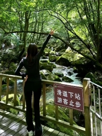 南京 露露