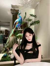郑州麦当当